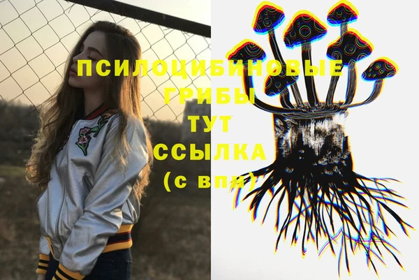 прущие грибы Армянск