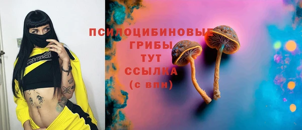 прущие грибы Армянск