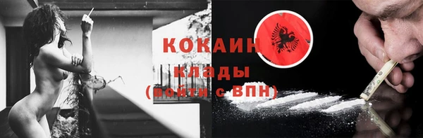 прущие грибы Армянск