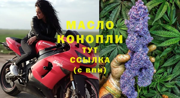 прущие грибы Армянск
