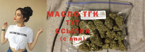 прущие грибы Армянск
