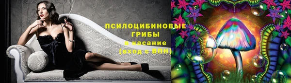прущие грибы Армянск