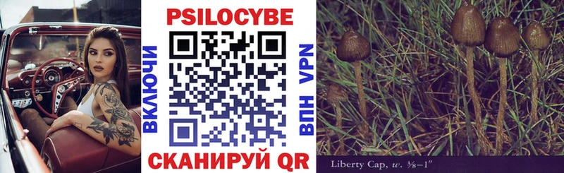 цена наркотик  Сосновка  гидра ССЫЛКА  Псилоцибиновые грибы Magic Shrooms 